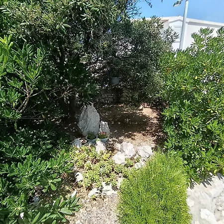 Visnja Апартаменты